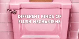 Different Kinds of Flush Mechanisms 