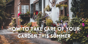 How to Take Care of Your Garden This Summer