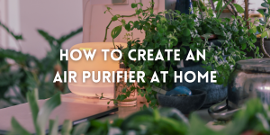 How To Create an Air Purifier At Home